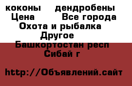 коконы    дендробены › Цена ­ 25 - Все города Охота и рыбалка » Другое   . Башкортостан респ.,Сибай г.